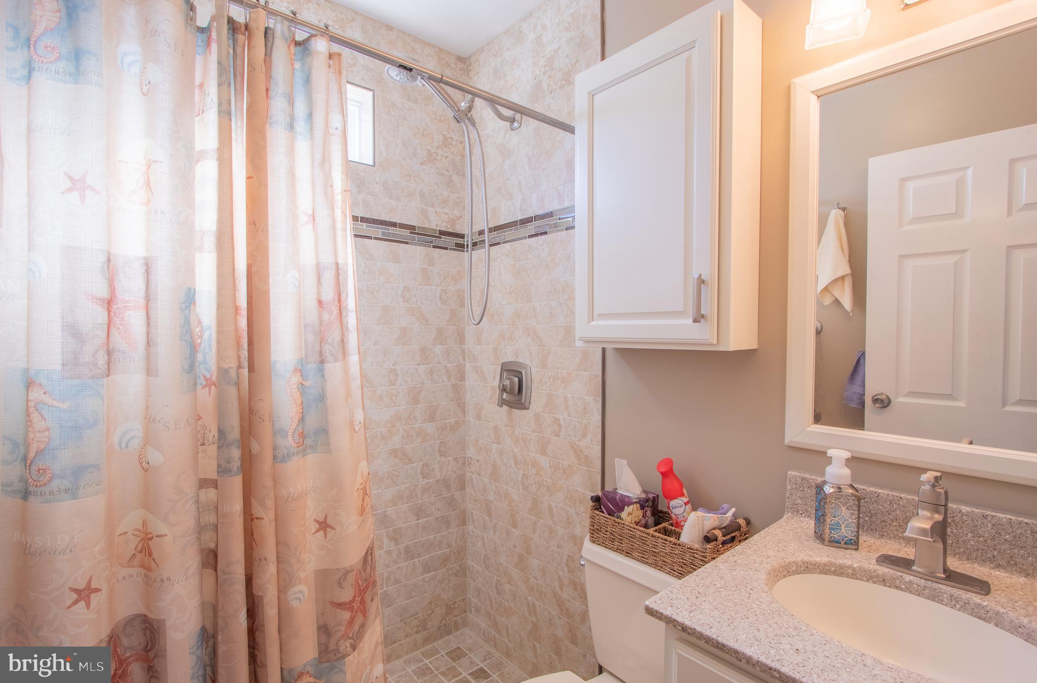 40 High Road Earleville, MD 21919 - Photo 17 of 42 a bathroom with a sink and a mirror