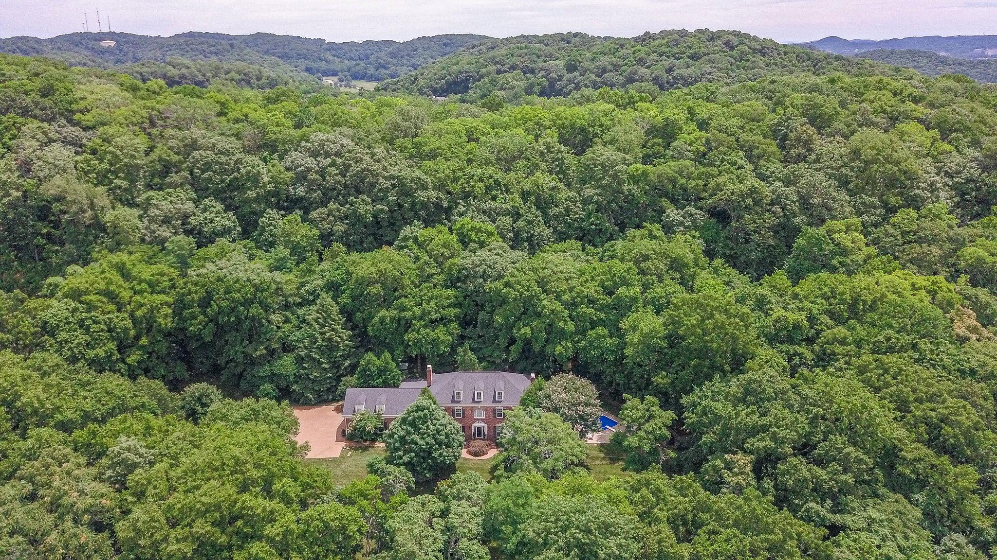1005 Scramblers Knob Franklin, TN 37069 - Photo 4 of 29 a view of a lush green forest with trees and some houses