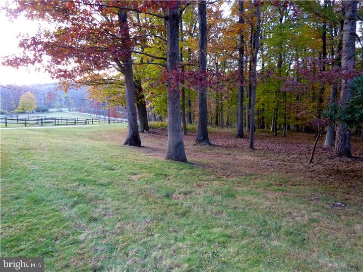 1511 Yellow Springs Road Chester Springs, PA 19425 - Photo 19 of 20 View