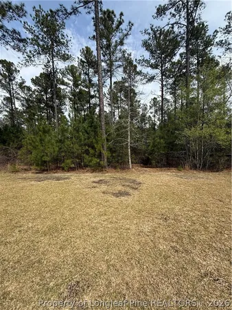 $2,195 | 195 Kensington Dr Spring Lake, Spring Lake, NC 28390