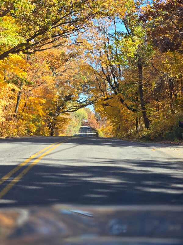 W4649 Hillcrest Drive Fontana, WI 53125 - Photo 5 of 6 Fontana