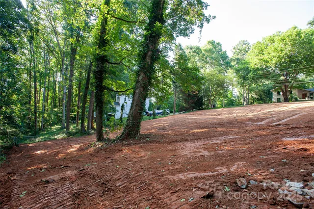 a view of a road with trees in the background