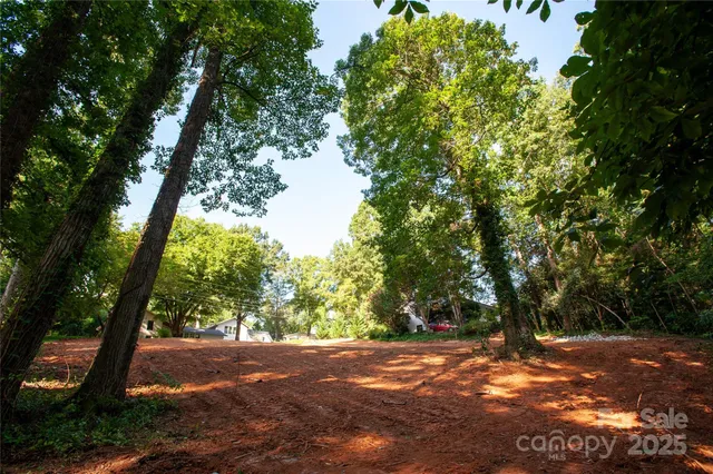 a view of a yard with a tree