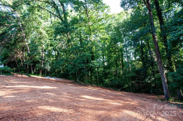 a view of a middle of a forest