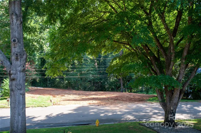 a view of a yard with plants and large trees