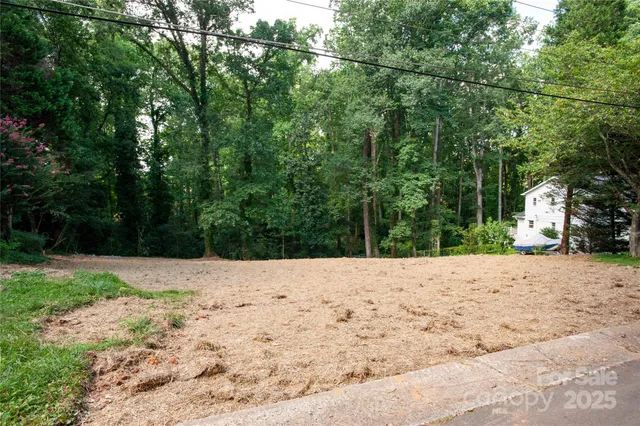 a wooden bench with trees in the background