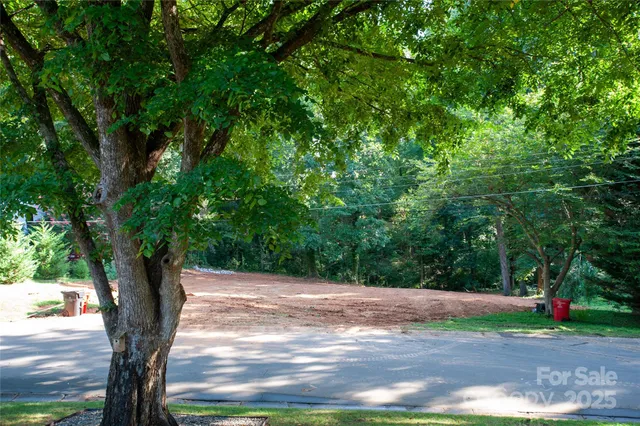 a view of a yard with plants and a large tree