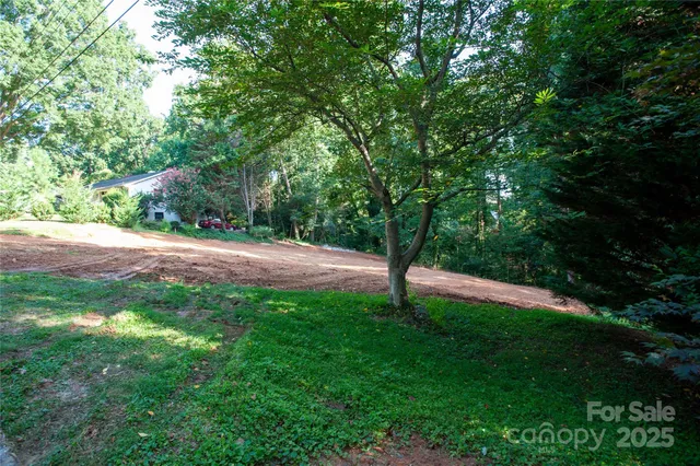 a view of a tree with a yard