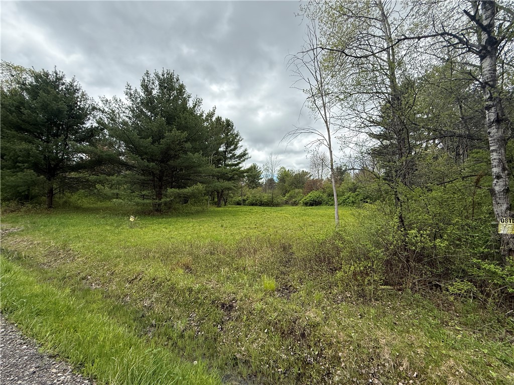 Caswell Road Freeville, NY 13068 - Photo 42 of 47