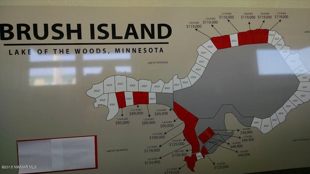 6 Brush Island Angle Inlet, MN 56711 - Photo 3 of 3