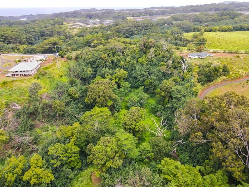 37 Omao Road Koloa, HI 96756 - Photo 10 of 29