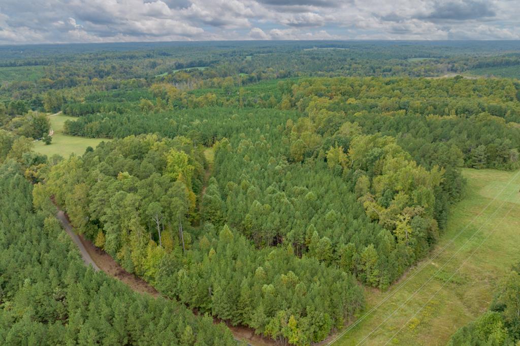 The Grove Road, Unit 1 Blackstone, VA 23824 - Photo 1 of 25 Gallery Image 1