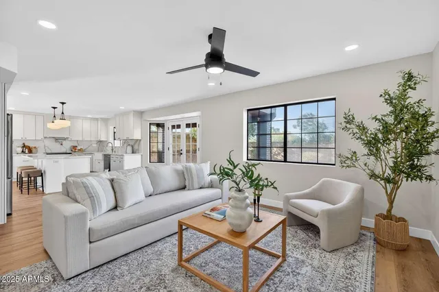 a living room with furniture and a potted plant