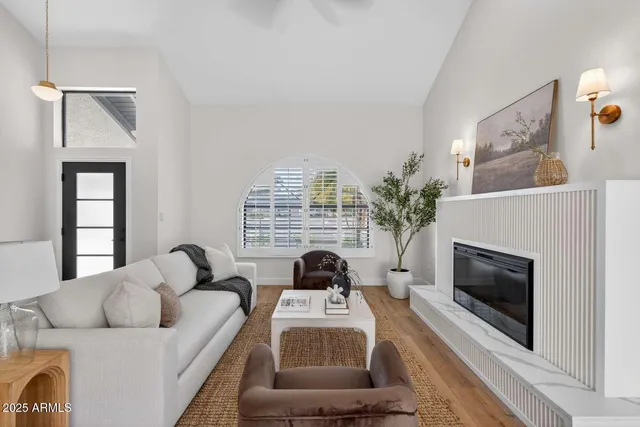 a living room with furniture a fireplace and a potted plant