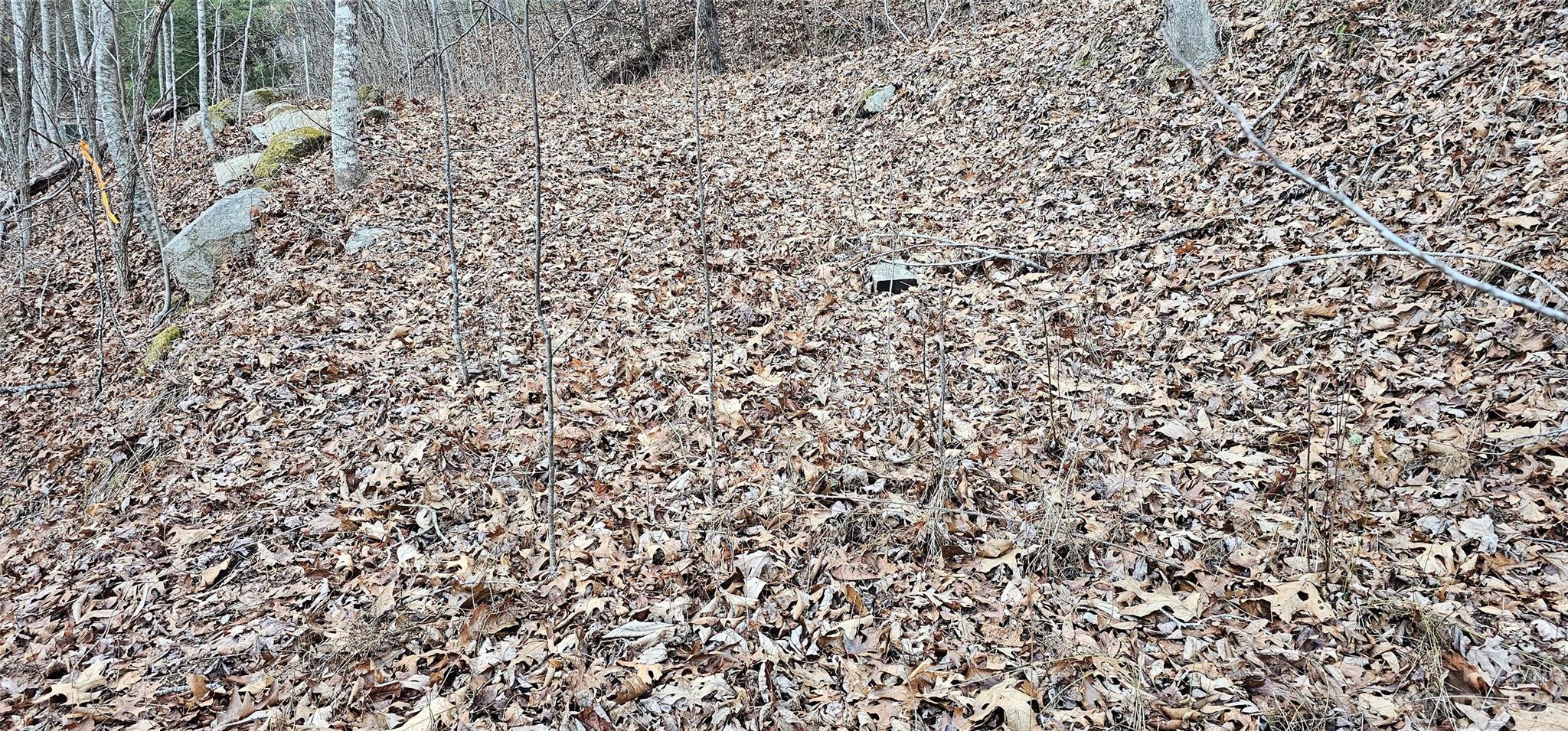 4-lots Seay Mountain Road Waynesville, NC 28785 - Photo 14 of 48 a view of a pathway