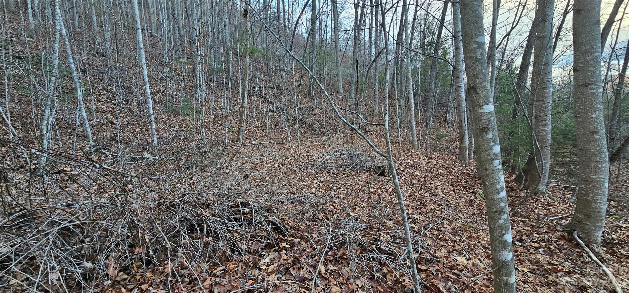 4-lots Seay Mountain Road Waynesville, NC 28785 - Photo 20 of 48 a view of a pathway with a yard