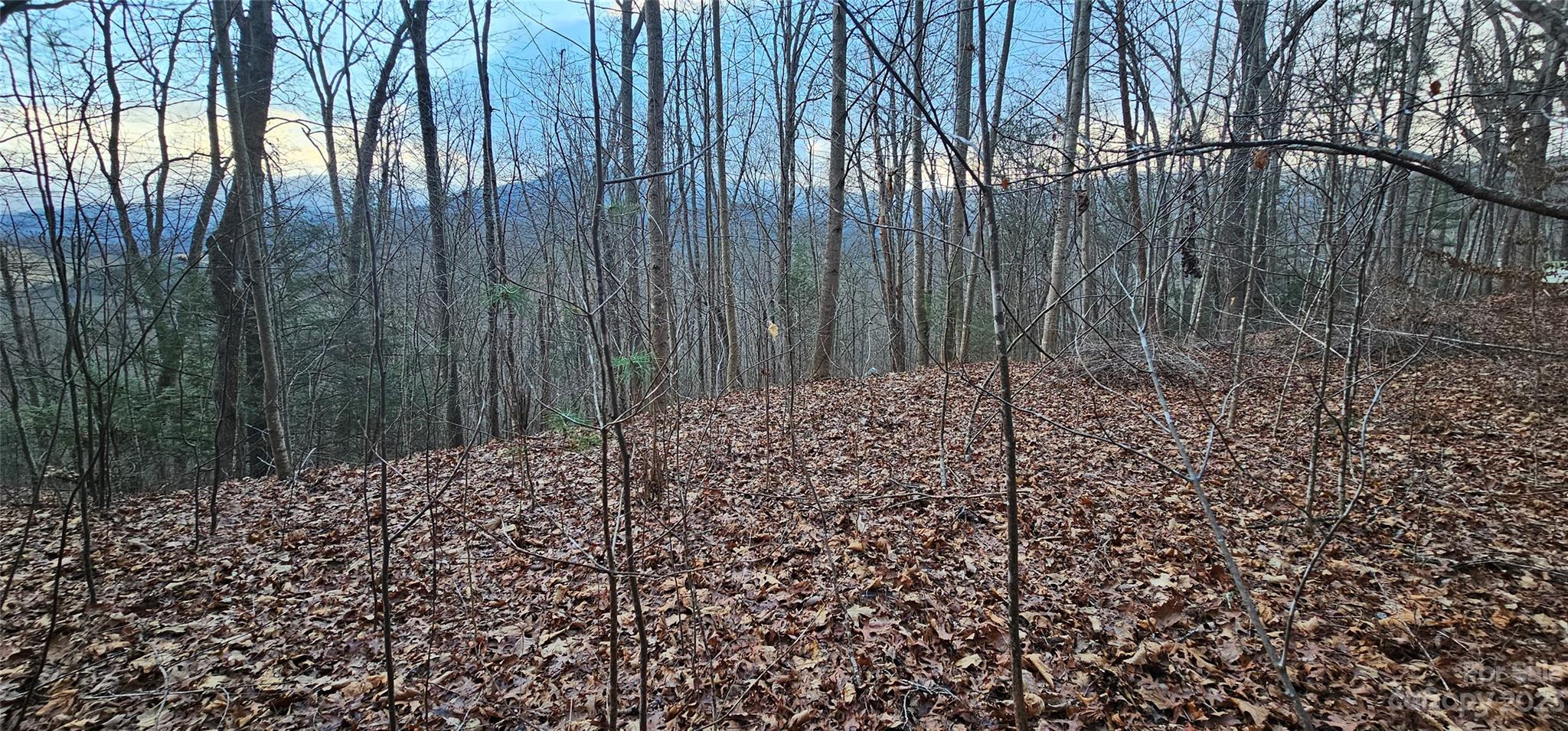 4-lots Seay Mountain Road Waynesville, NC 28785 - Photo 22 of 48 a view of a backyard of the house