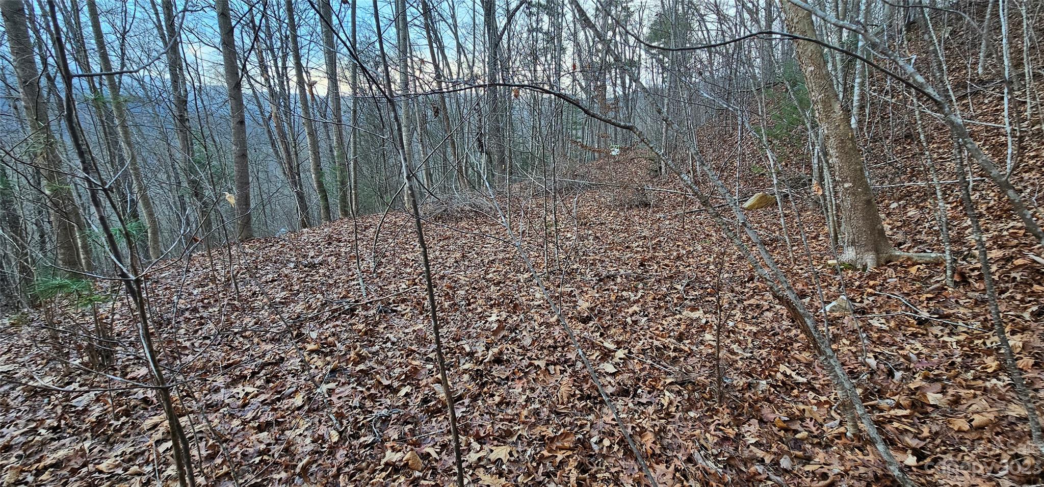 4-lots Seay Mountain Road Waynesville, NC 28785 - Photo 23 of 48