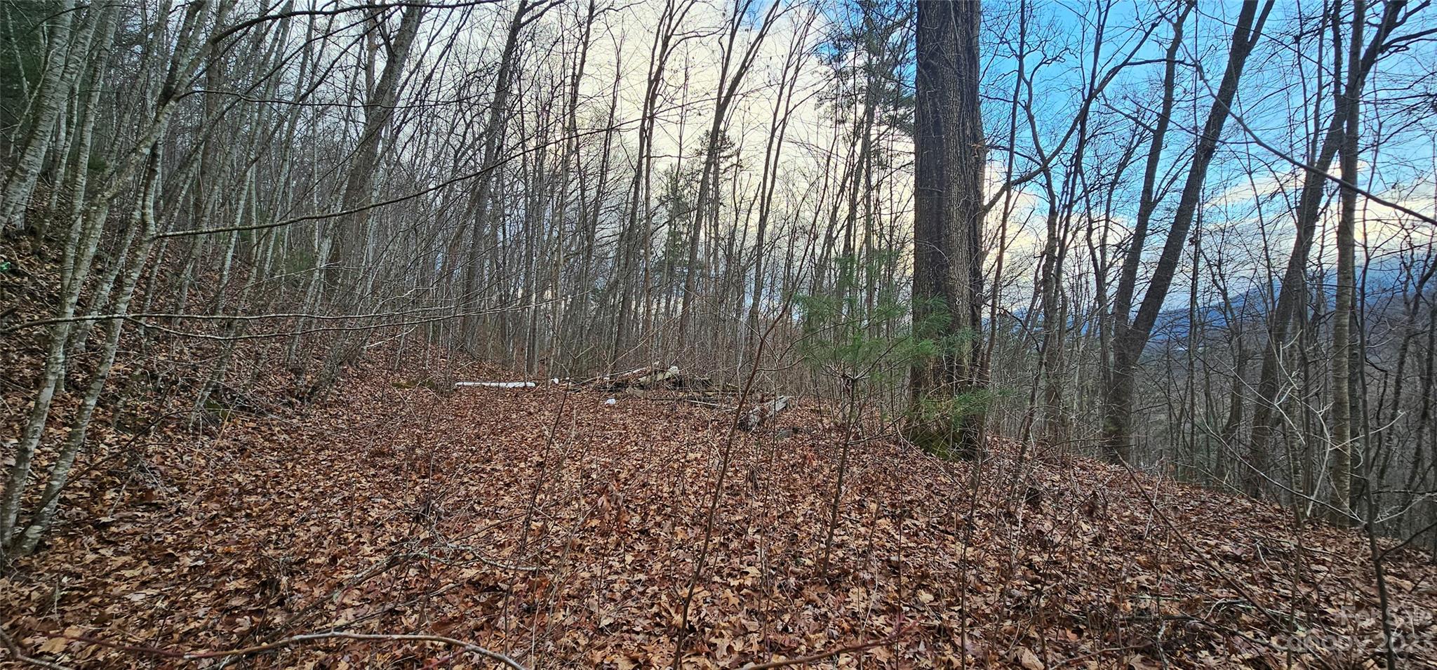 4-lots Seay Mountain Road Waynesville, NC 28785 - Photo 6 of 48 a view of a backyard