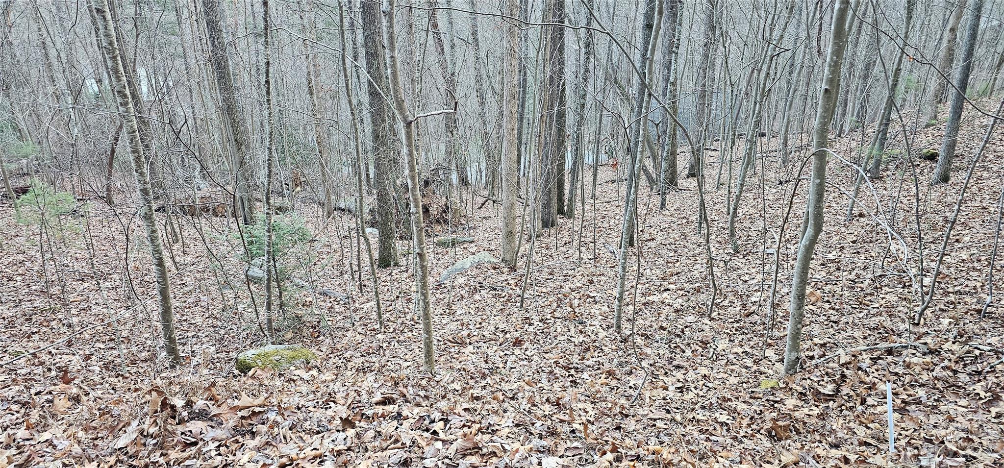 4-lots Seay Mountain Road Waynesville, NC 28785 - Photo 10 of 48