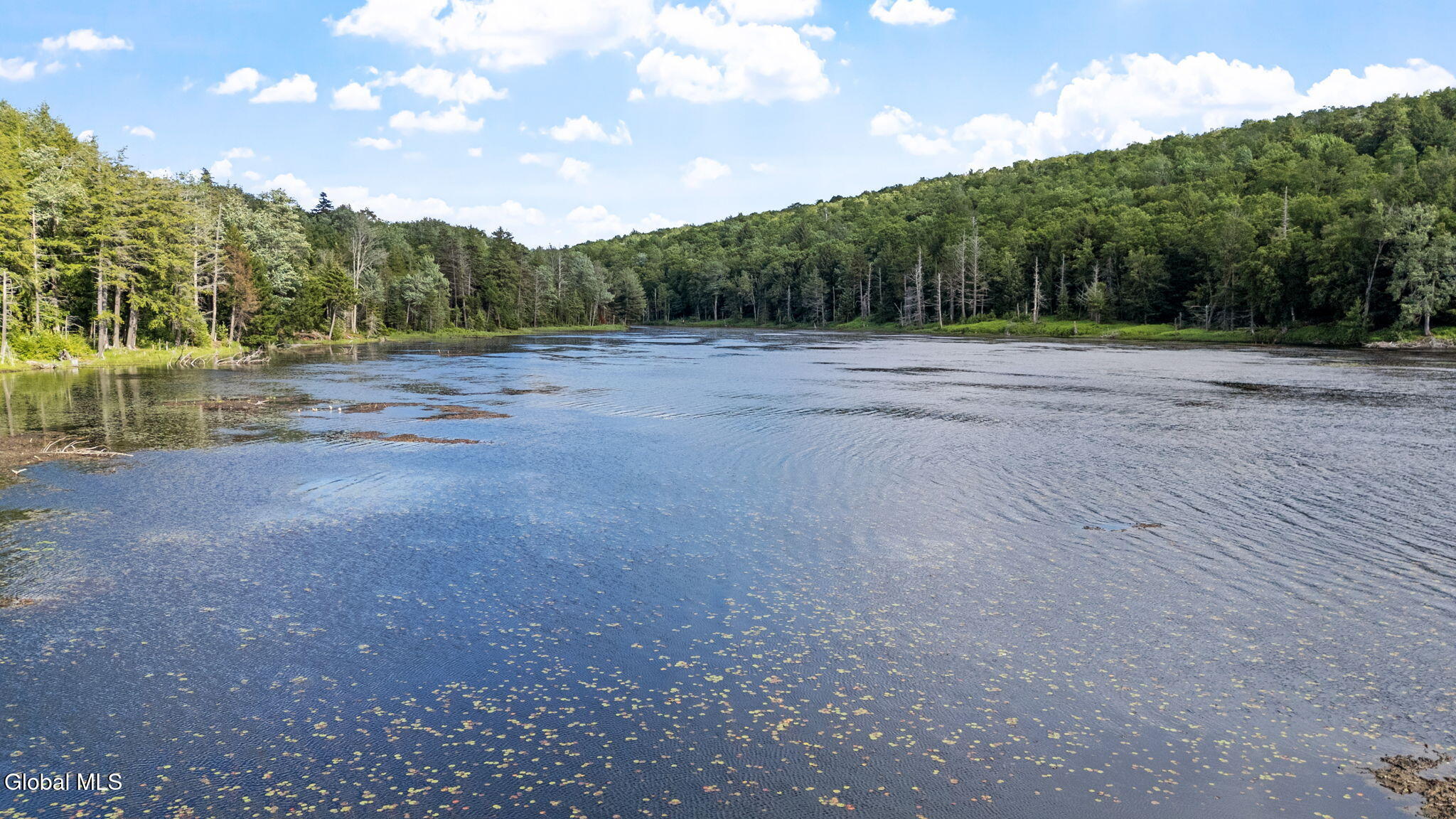 L9 Goat Farm Road Gloversville, NY 12078 - Photo 37 of 41 37-web-or-mls-goat-farm-rd