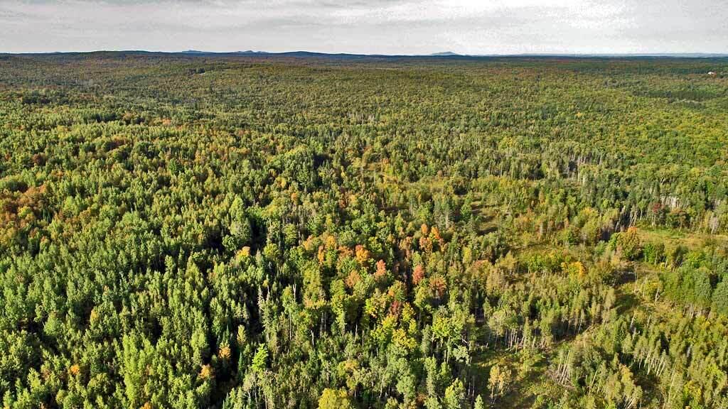 1719 Ludlow Road Houlton, ME 04730 - Photo 45 of 47 north-log-home-land-ludlow
