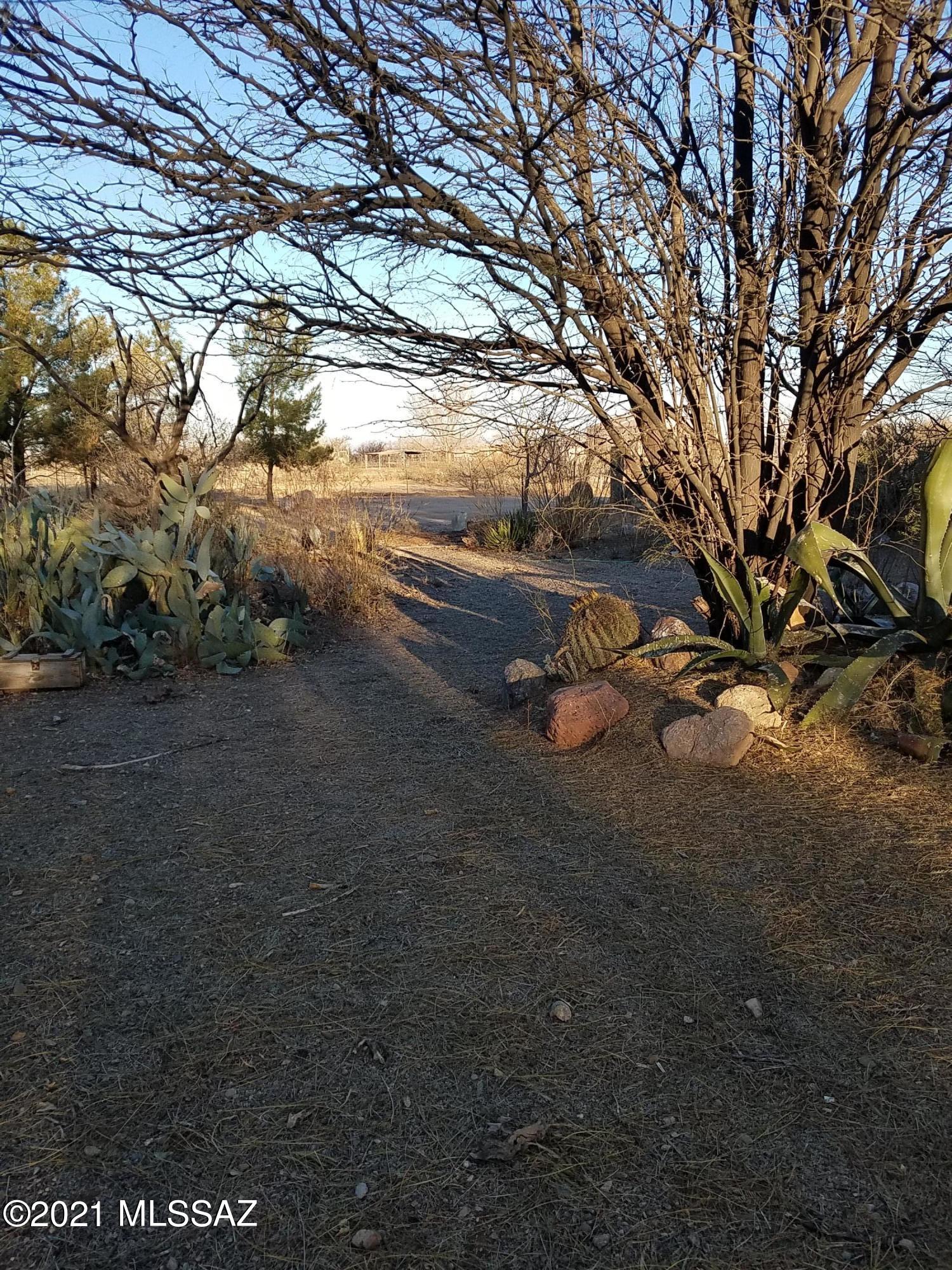 7011 South Quick Silver Road Willcox, AZ 85643 - Photo 6 of 44 Gallery Image 6