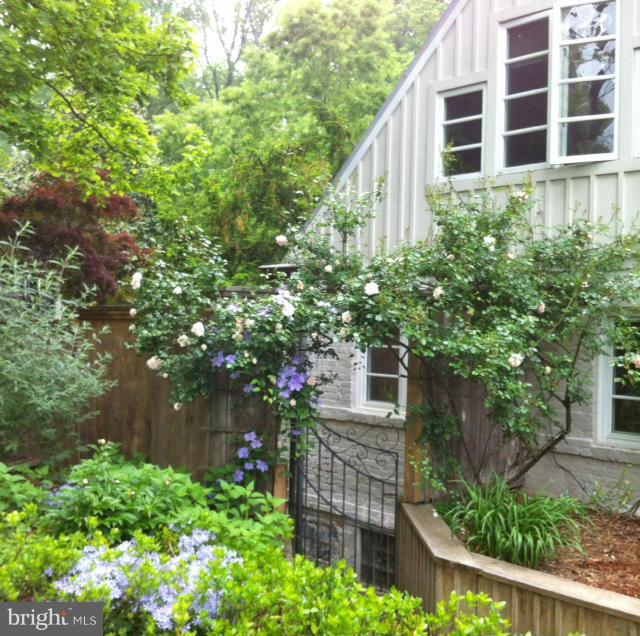 21 Sussex Road Silver Spring, MD 20910 - Photo 27 of 30 front view of a house with a tree