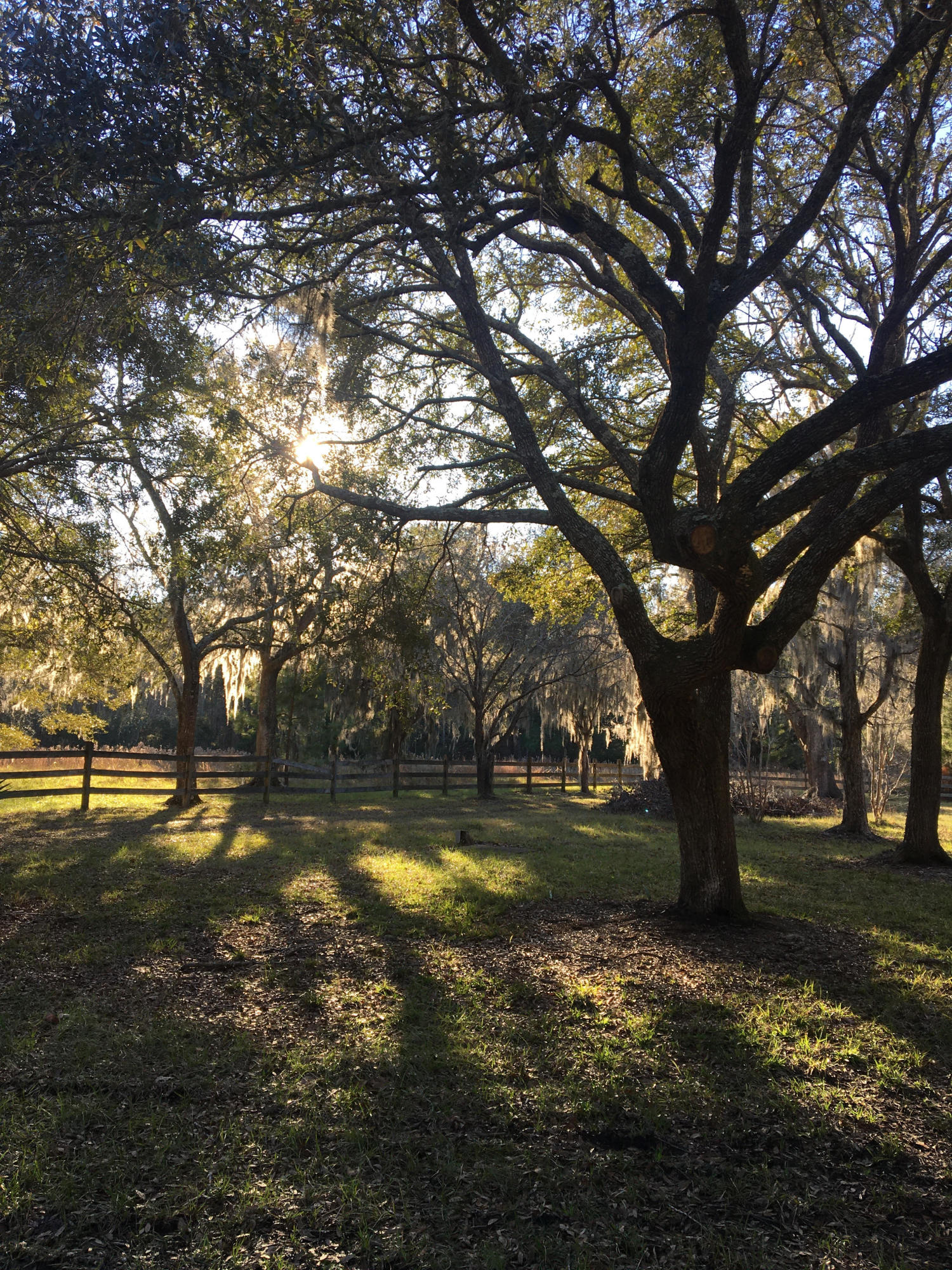 0 Parishville Road Meggett, SC 29449 - Photo 1 of 8 unnamed (5)