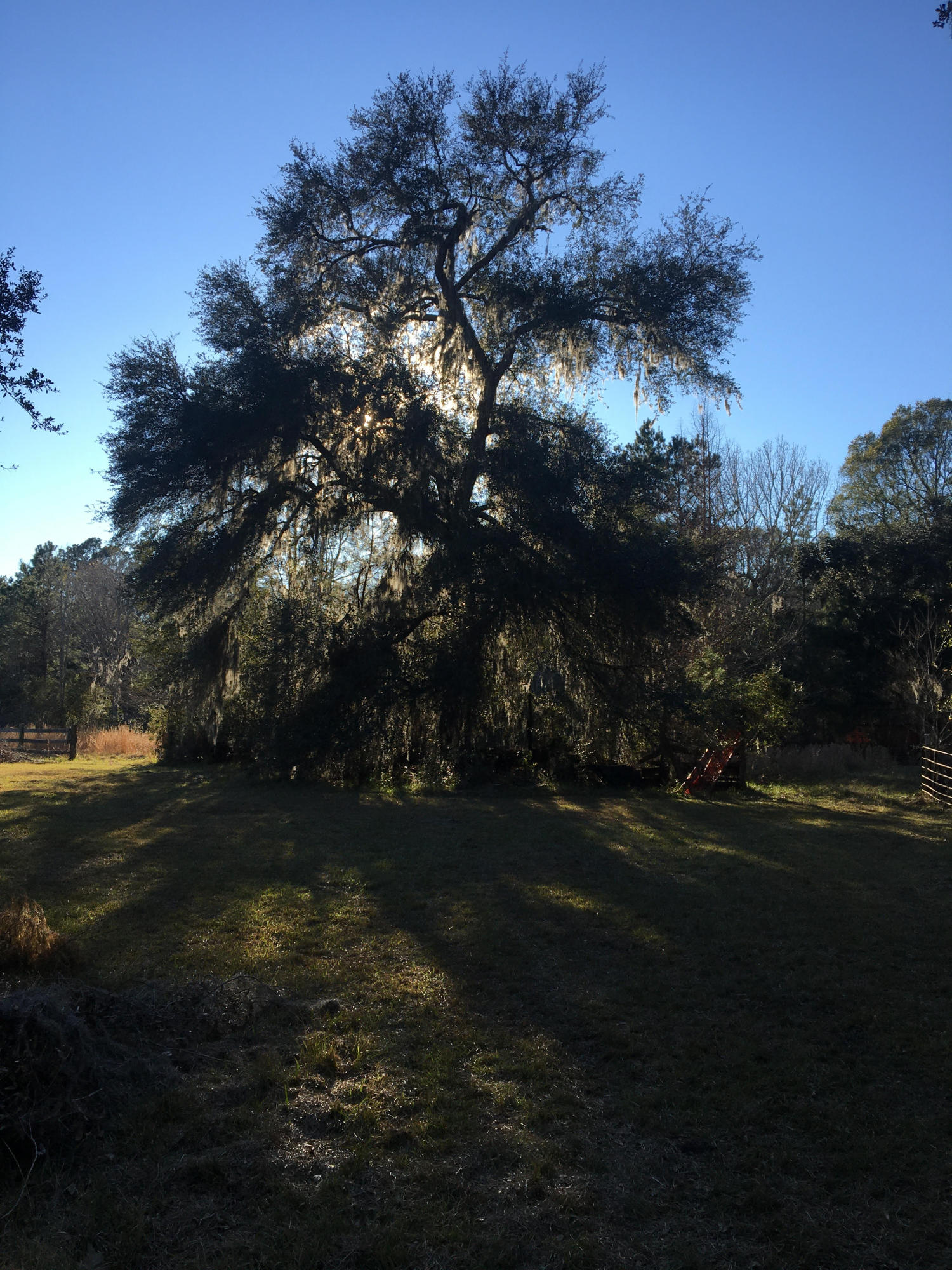 0 Parishville Road Meggett, SC 29449 - Photo 5 of 8 unnamed (3)