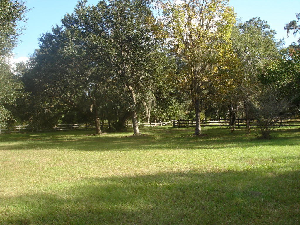 0 Parishville Road Meggett, SC 29449 - Photo 7 of 8 0 Parishville rd pic of prop