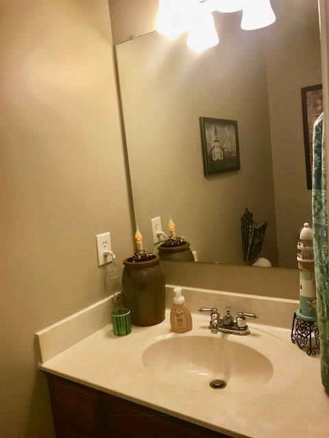 237 Kiddsville Road Fishersville, VA 22939 - Photo 31 of 46 a bathroom with a sink and a mirror
