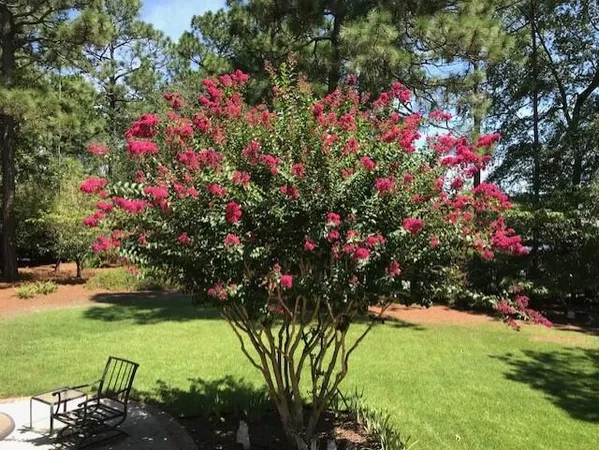 $499,900 | 356 Forest Pines Road, Aiken, SC 29803