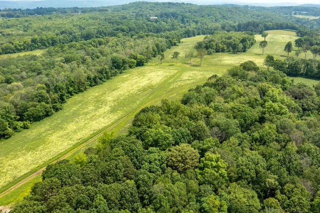 a view of an outdoor space and a yard