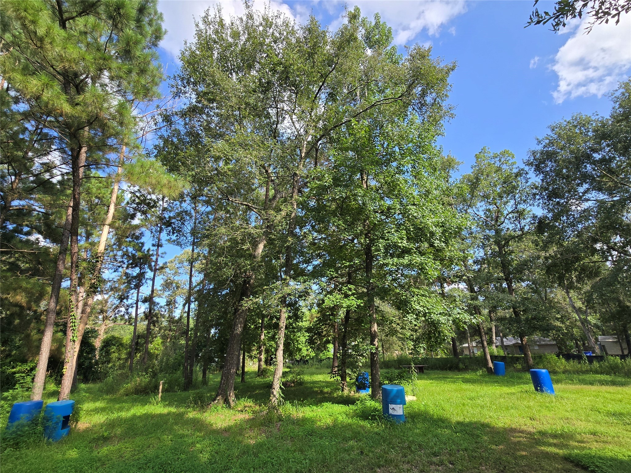 491 Perry Lane Cleveland, TX 77328 - Photo 4 of 16