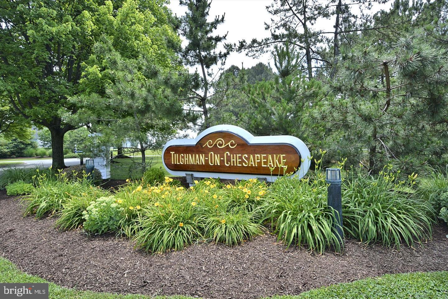 0 Ferry Landing Road Tilghman, MD 21671 - Photo 3 of 29 TILGHMAN ON CHESAPEAKE ENTRANCE