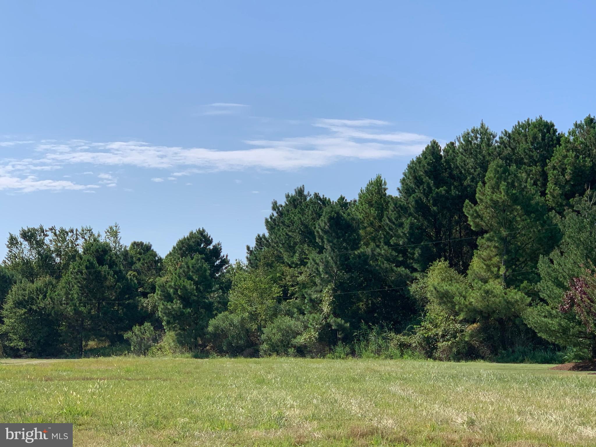0 Ferry Landing Road Tilghman, MD 21671 - Photo 4 of 29 LOT VIEW FROM FERRY LANDING ROAD