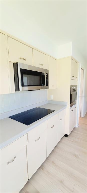 11504 Taylor Road Thonotosassa, FL 33592 - Photo 10 of 73