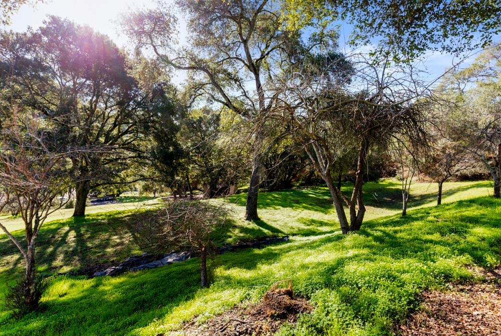 115 Santa Fe Ridge Aptos, CA 95003 - Photo 44 of 50 a big yard with lots of green space and plants