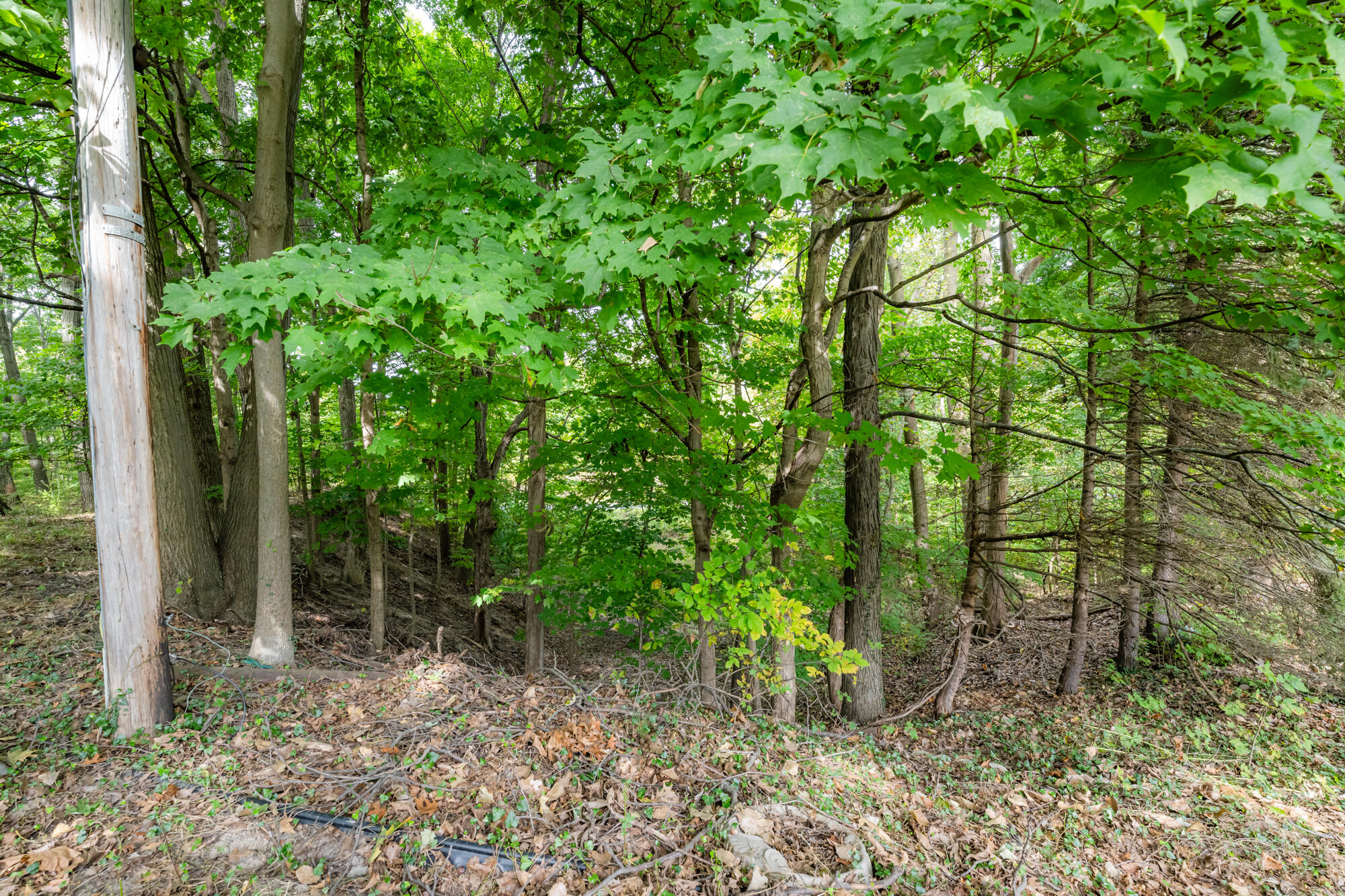1590 Miners Road St. Joseph, MI 49085 - Photo 40 of 45 Miners-109