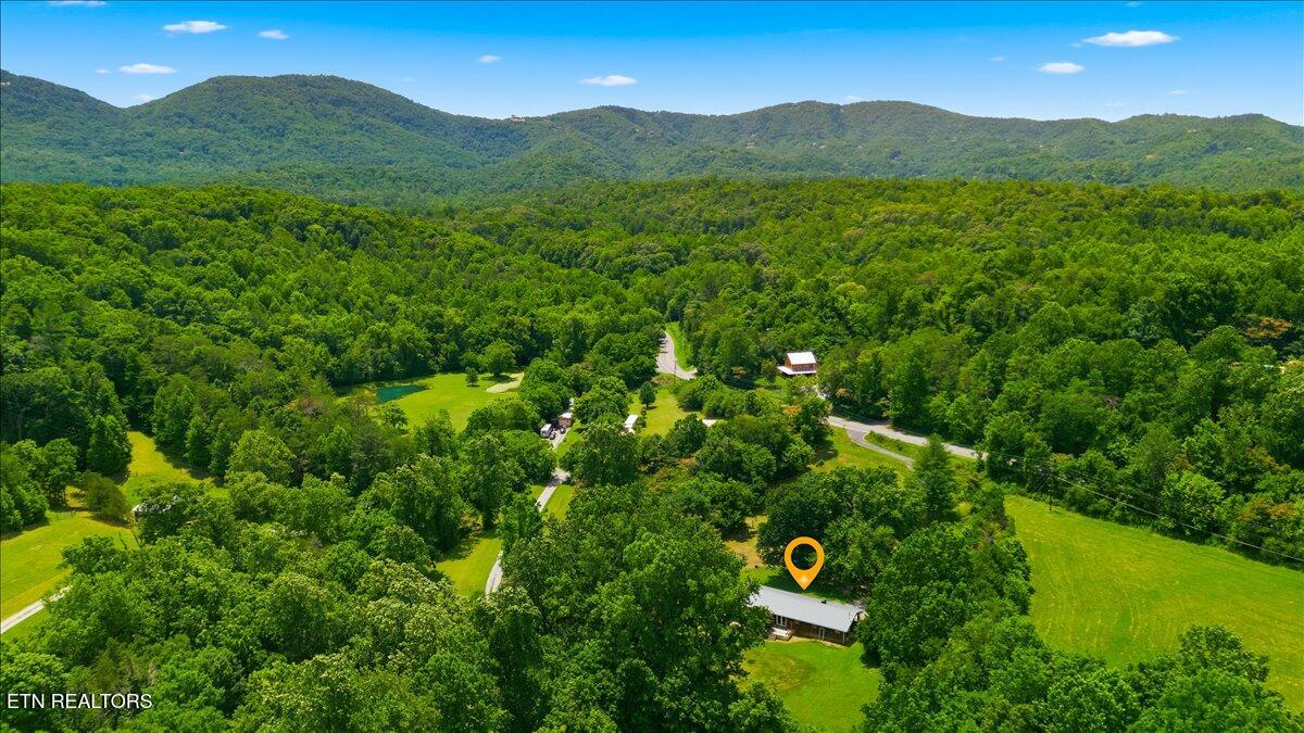 249 Old Cades Cove Road Townsend, TN 37882 - Photo 26 of 30 Aerial
