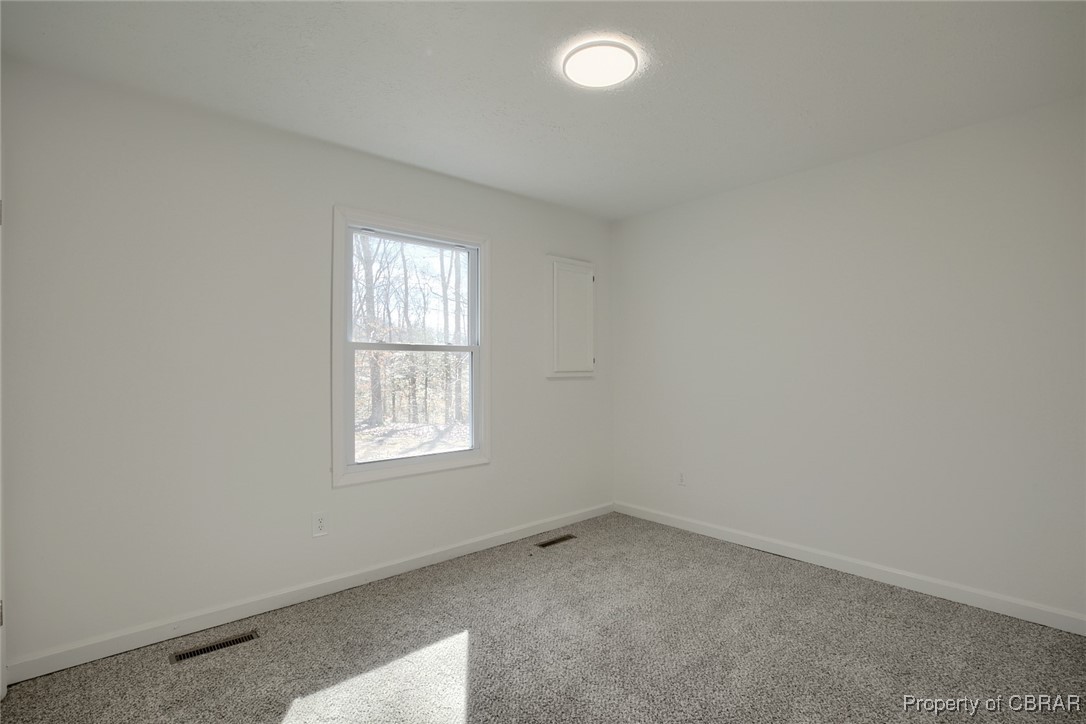 2878 Lees Neck Farm Road Saluda, VA 23149 - Photo 29 of 48