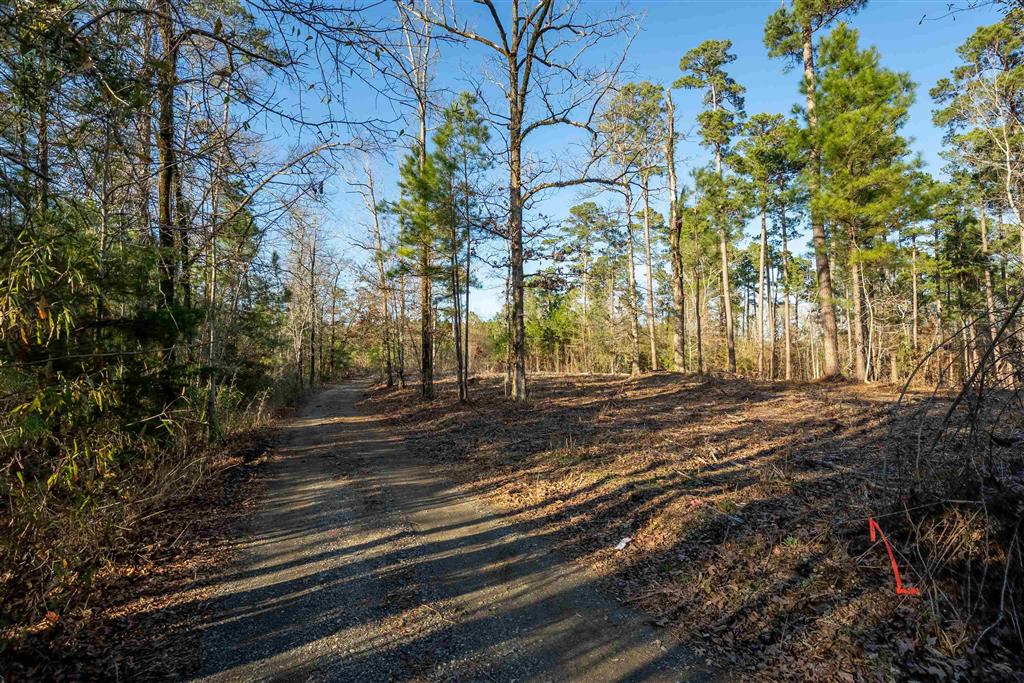Lazy Point Trail Many, LA 71449 - Photo 10 of 20
