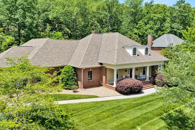 a backyard of a house with plants and large tree