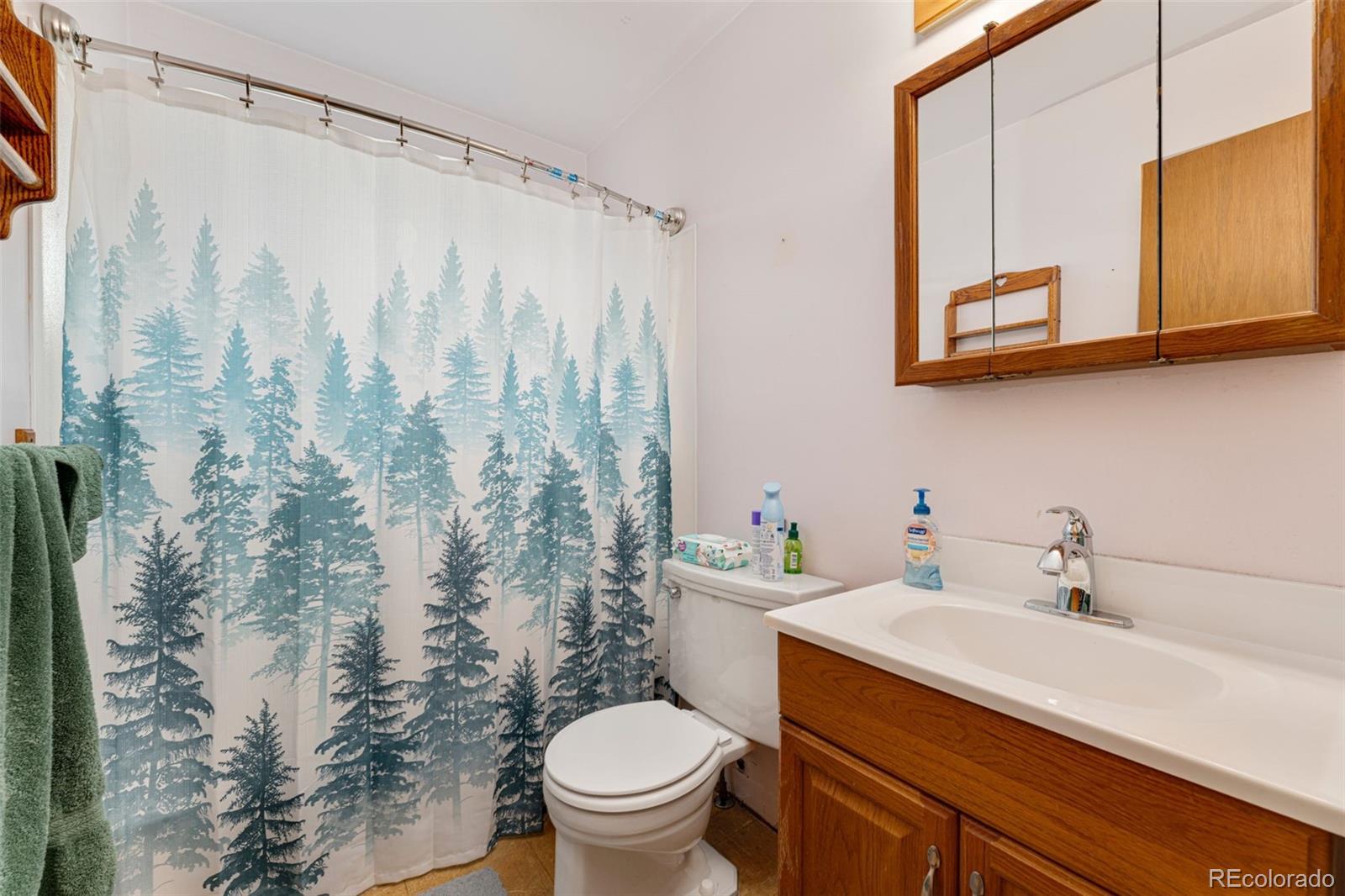 7241 Raritan Street Denver, CO 80221 - Photo 11 of 20 Gallery Image 11