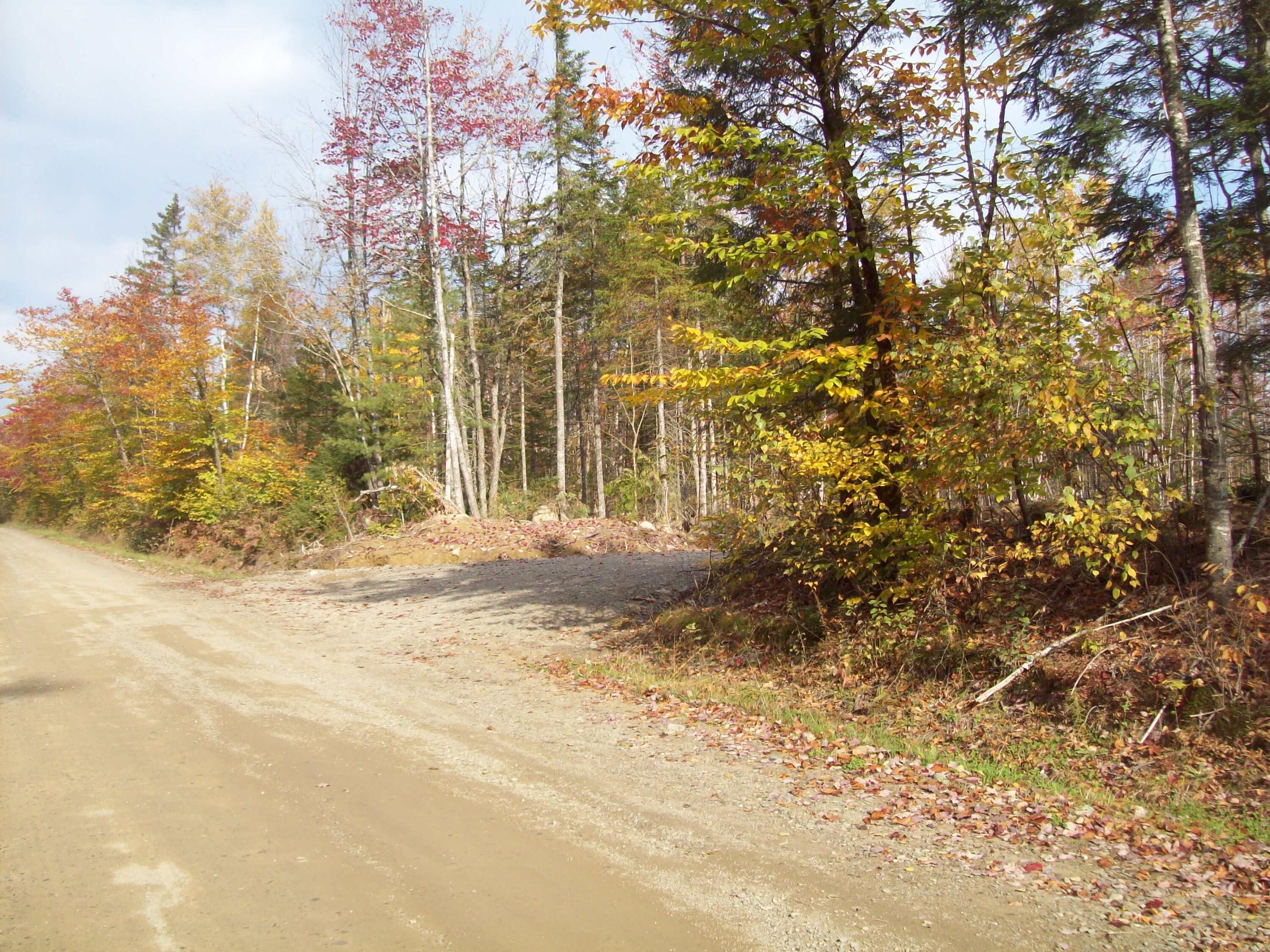 Tbd Tbd Road Carroll Plt, ME 04487 - Photo 7 of 12 100_2376