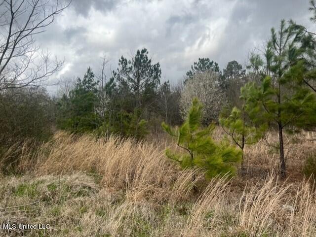 Bubba Taylor Road Byhalia, MS 38611 - Photo 1 of 2 Bubba Taylor Rd