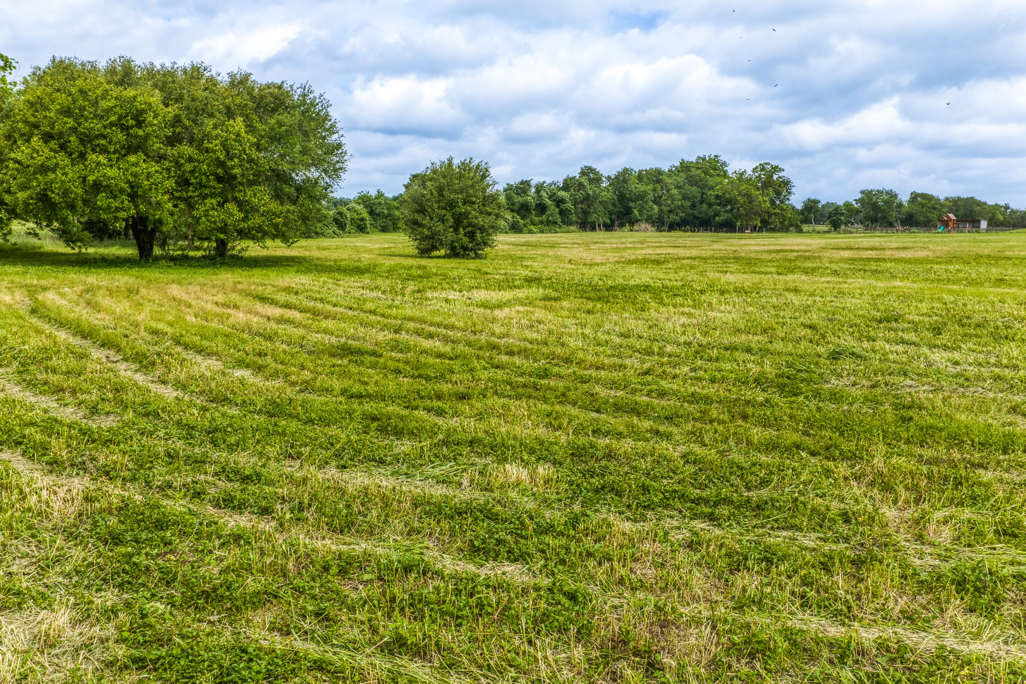 0 Randle Hill Road Brenham, TX 77833 - Photo 7 of 8