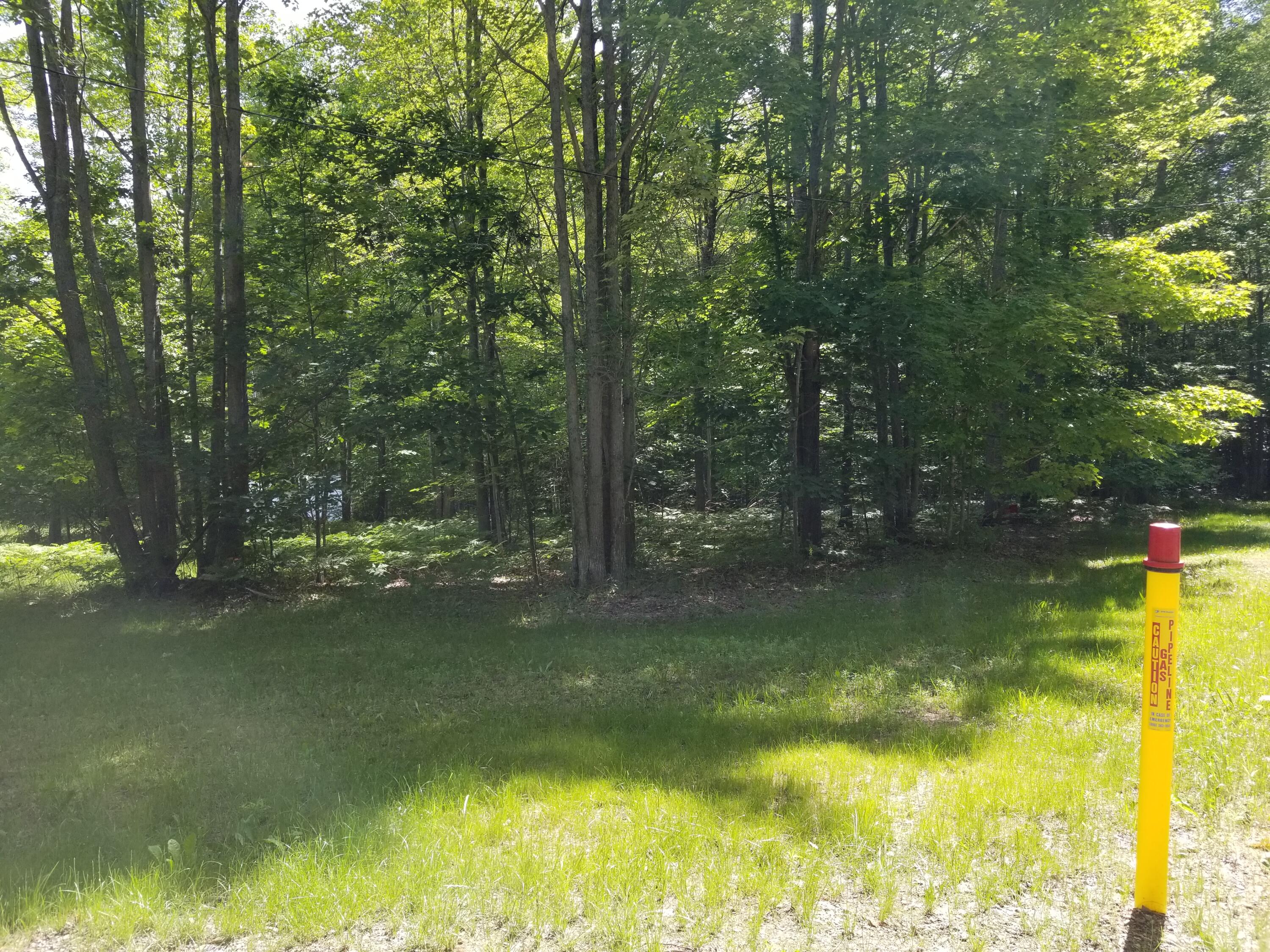 Mitchell Drive Cheboygan, MI 49721 - Photo 10 of 11 Gallery Image 10