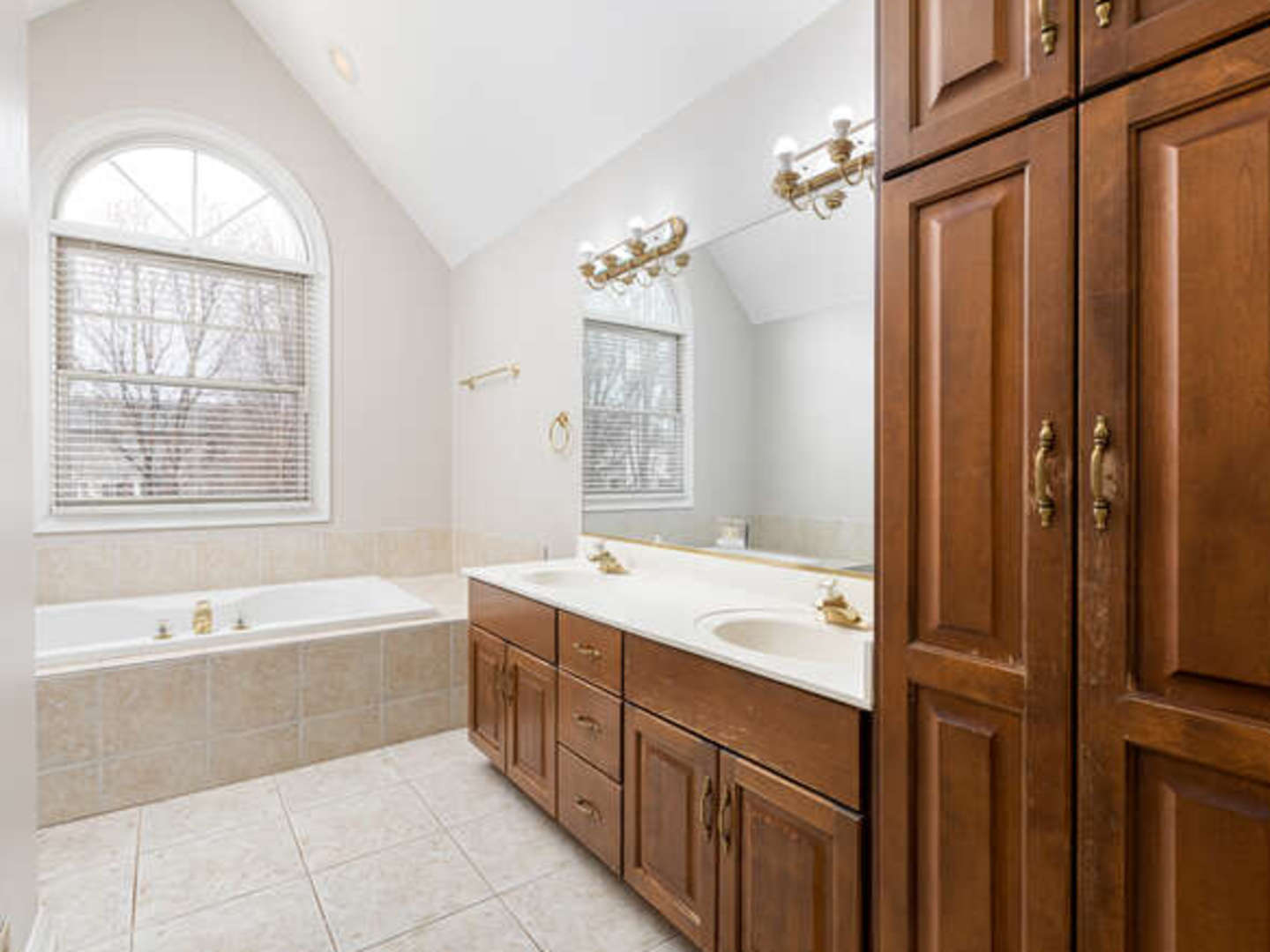 40-w046 Carl Sandburg Road St. Charles, IL 60175 - Photo 17 of 29 a bathroom with a tub sink and mirror